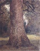 John Constable Study of the trunk of an elm tree oil painting artist